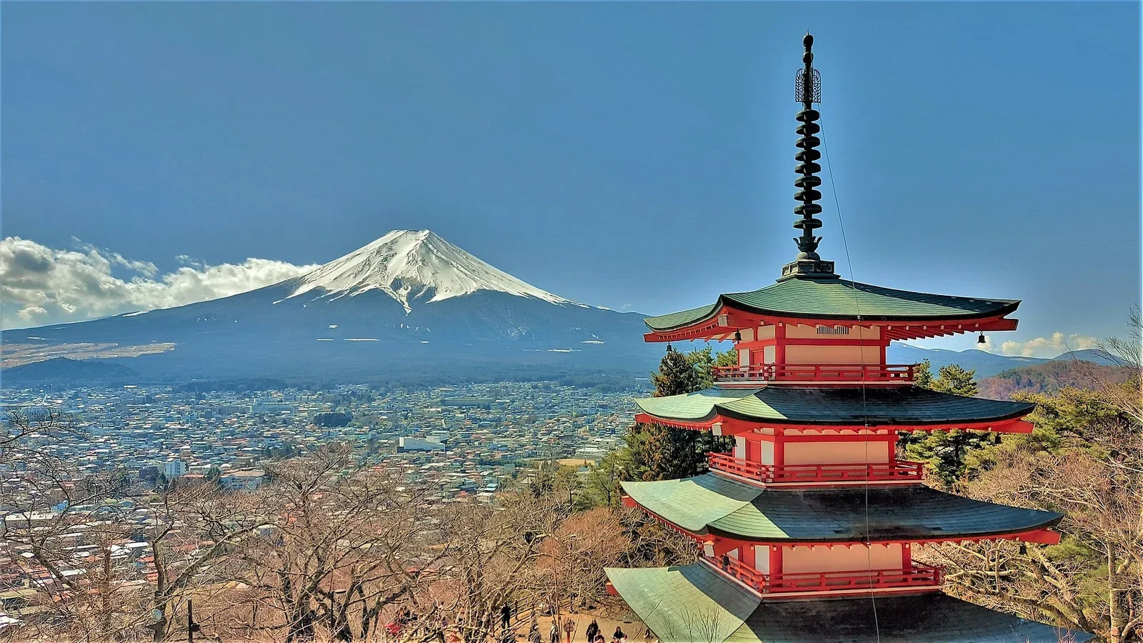 Japan Tour